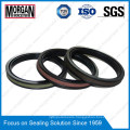 Spgw/Phd/Y3/L27/Cst Type Hydraulic Cylinder Piston Seal